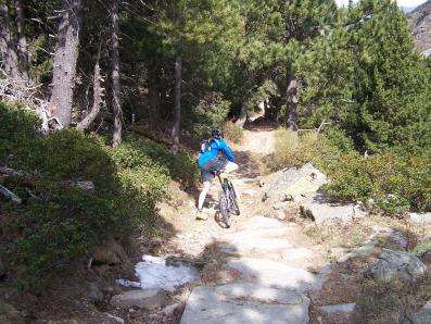 Vtt dans la foret